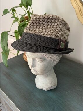 The Hatter fedora style woven straw design.